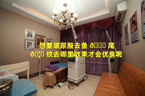 想要玻尿酸去鱼 🐕 尾 🦆 纹去哪里效果才会优良呢